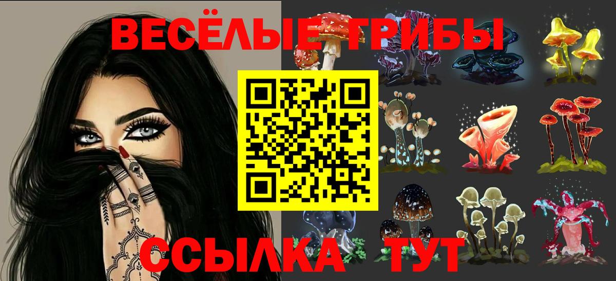 Галлюциногенные грибы мухоморы Шахты