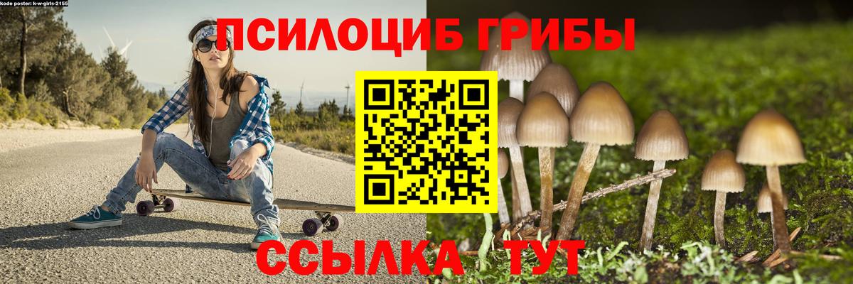 цена   Шахты  Галлюциногенные грибы Psilocybe 