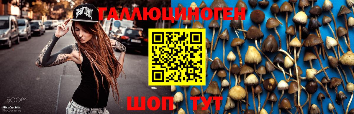 Галлюциногенные грибы GOLDEN TEACHER  Галлюциногенные грибы прущие грибы  Вход с VPN  Шахты 